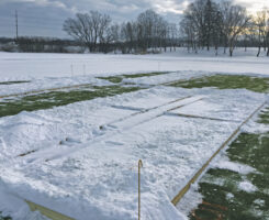 The research plot at the OJ Noer Turfgrass Research Facility in November 2015. Half the plots were kept covered in snow for the entire winter and half the plots had snow removed for the entire winter. (Photo: Paul Koch)