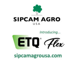 Photo: Sipcam Agro