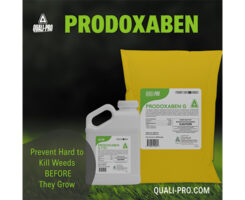 Photo: Quali-Pro