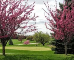 Photo: Landscapes Golf Management