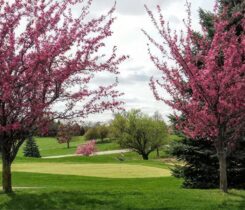 Photo: Landscapes Golf Management