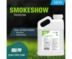 Photo: Quali-Pro