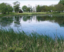 Photo: USGA