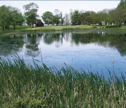 Photo: USGA