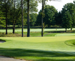 Photo: Tee-2-Green