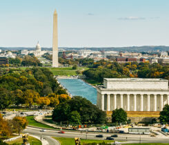 Photo: iStock/ Getty Images/ halbergman