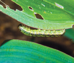 Photo: Lane Tredway, Ph.D