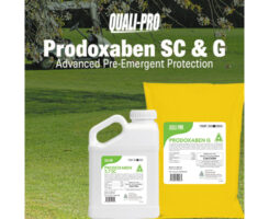 Photo: Quali-Pro