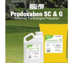 Photo: Quali-Pro