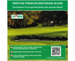 Photo: Tee-2-Green Corp.