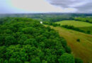 Photo: Landscapes Unlimited