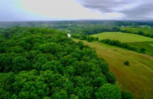 Photo: Landscapes Unlimited