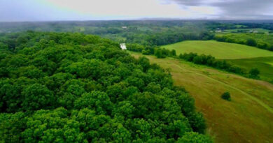Photo: Landscapes Unlimited