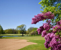 Lake Barrington Shores Golf Club (Photo: Landscapes Golf Management)