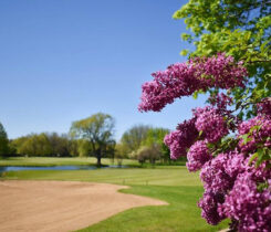 Lake Barrington Shores Golf Club (Photo: Landscapes Golf Management)