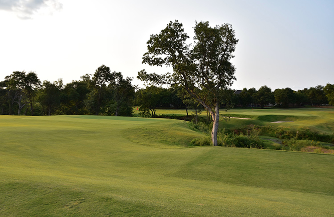Photo: Smyers Craig & Coyne Design