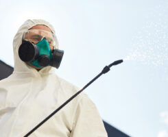 Photo: Getty Images/ SeventyFour / iStock / Getty Images Plus