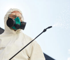 Photo: Getty Images/ SeventyFour / iStock / Getty Images Plus