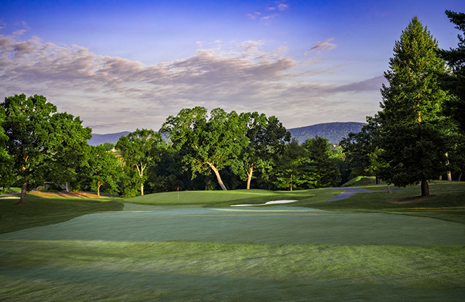 Photo: Carlisle C.C.