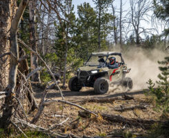 Photo: Polaris