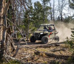 Photo: Polaris