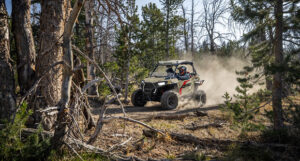 Photo: Polaris