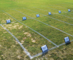 Figure 1. The snow mold pressure at Marquette GC in Marquette, Mich., wasn’t as high as it normally was, but it was still high enough to provide a solid test of the research treatments. (Photo by: Kurt Hockemeyer)