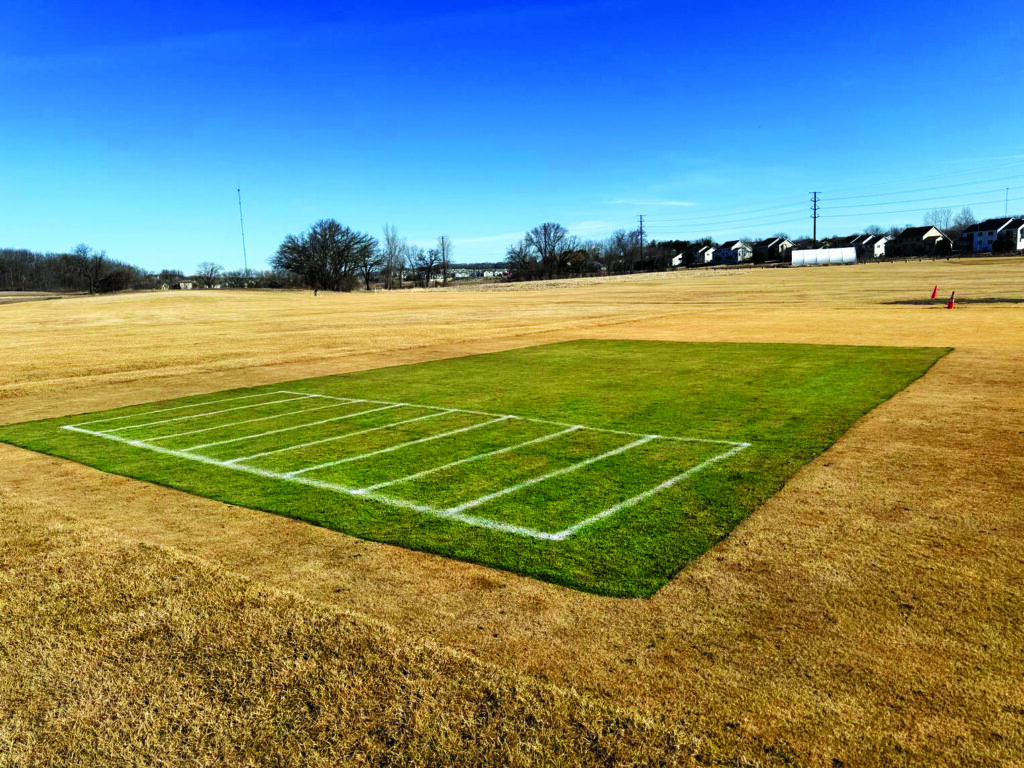 Figure 3. It was a good year to use winter covers to prevent against desiccation injury. (Photo by: Paul Koch)