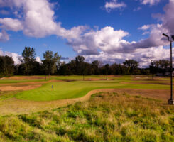 Photo courtesy of: Honma Sales Team