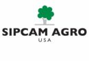 Logo: Sipcam Agro USA