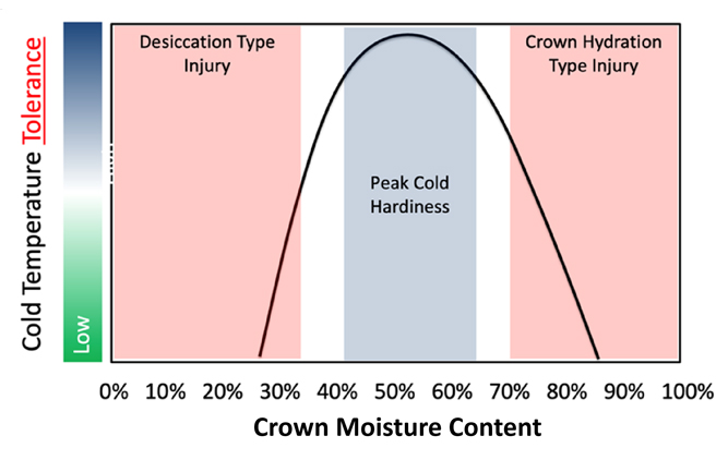 Continuum of crown moisture and temperature tolerance. (Figure: Golfdom staff)