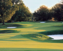 Photo: Corteva Agriscience