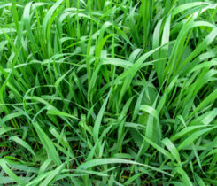 Photo:ioanna_alexa/ iStock / Getty Images Plus/ Getty Images