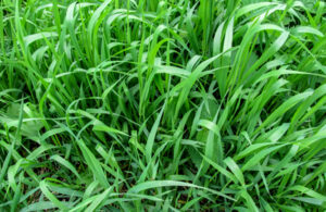 Photo:ioanna_alexa/ iStock / Getty Images Plus/ Getty Images