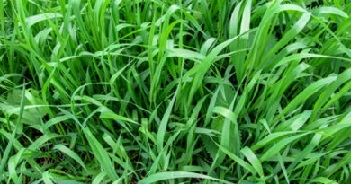 Photo:ioanna_alexa/ iStock / Getty Images Plus/ Getty Images