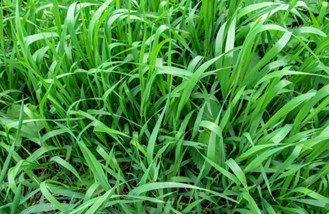 Photo:ioanna_alexa/ iStock / Getty Images Plus/ Getty Images