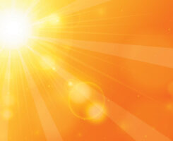 Photo: DesignToons / istock / getty images plus / getty images