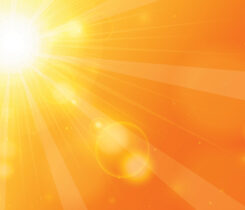 Photo: DesignToons / istock / getty images plus / getty images