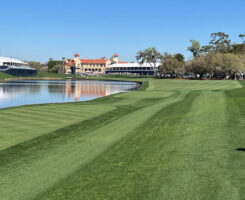 Andrews says not much is different despite the leadership change, and he wants to build on the foundation Plotts left at the club. (Photo: Golfdom staff)