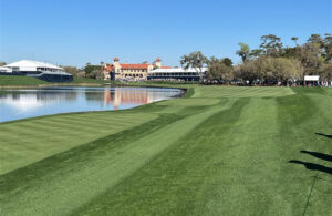 Andrews says not much is different despite the leadership change, and he wants to build on the foundation Plotts left at the club. (Photo: Golfdom staff)