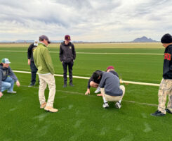 Photo: Golden Valley FFA