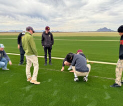 Photo: Golden Valley FFA