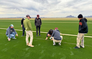 Photo: Golden Valley FFA