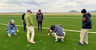 Photo: Golden Valley FFA