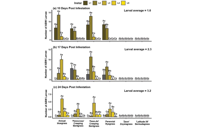 Average (±standard error) annual bluegrass weevil larval instar (L1–5) distribution at 10, 17 and 24 days post infestation (DPI) from annual bluegrass, creeping bentgrass, perennial ryegrass, zoysiagrass and hybrid bermudagrass in no-choice bioassays. Columns with the same uppercase letter denote no significant difference in larval recovery between instars (L1–5) within turfgrass species/cultivars. Columns with the same lowercase letter denote no significant differences within recovered larvae by instar (L1–5) between turfgrass species/cultivars at α = 0.05.