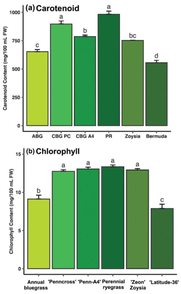 (a) Total carotenoid (mg/100 mL fresh weight [FW]) and (b) chlorophyll (mg/100 mL FW) content of annual bluegrass, bentgrass, perennial ryegrass, zoysiagrass and hybrid bermudagrass. Columns with the same lowercase letter denote no significant differences in carotenoid (a) and chlorophyll (b) content between turfgrass species/cultivars at α =0.05.