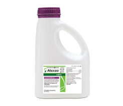 Photo: Syngenta