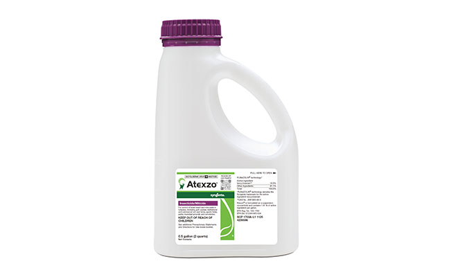 Photo: Syngenta