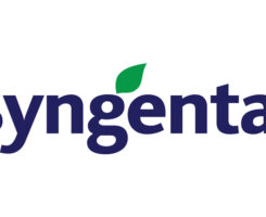 Logo: Syngenta
