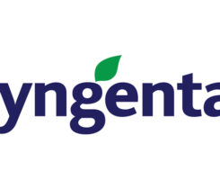 Logo: Syngenta